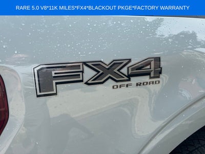 2024 Ford F-150 XLT FX4