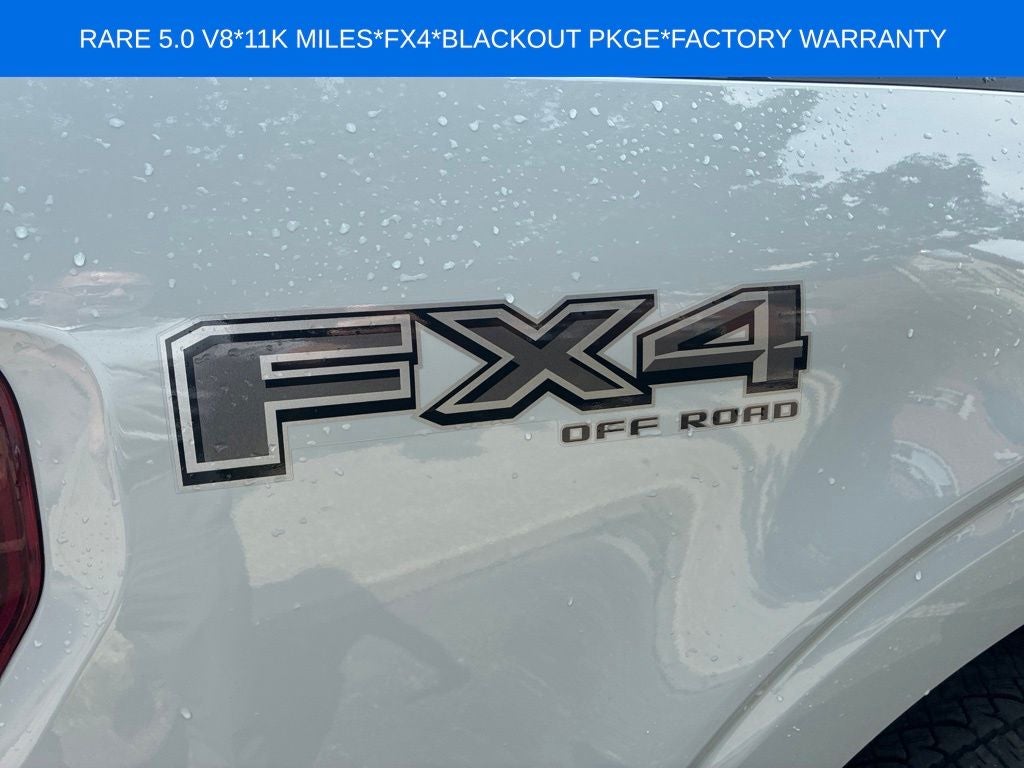 2024 Ford F-150 XLT FX4