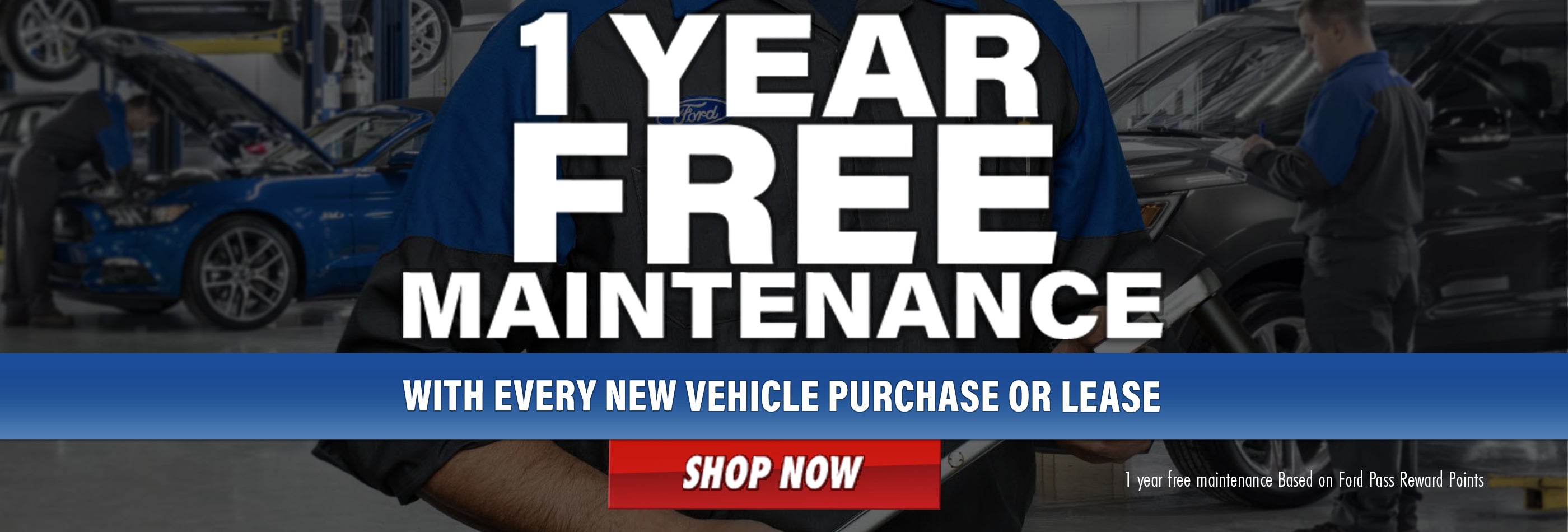 1 year free maintenance